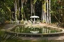 Rainforest Grove Holiday Cairns